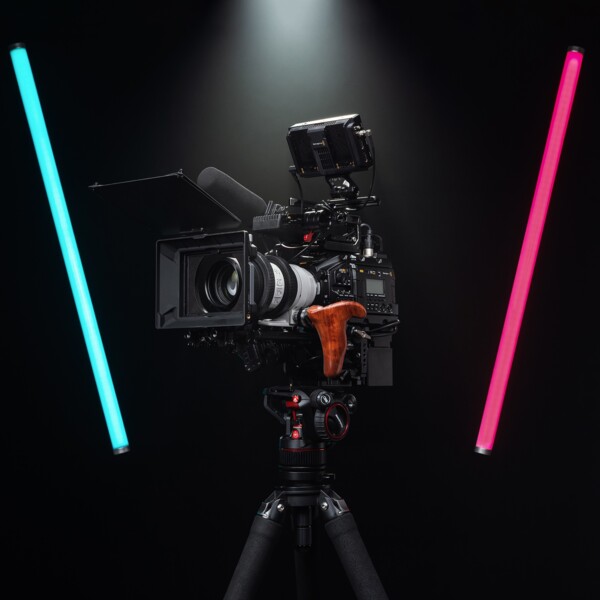 Ursa_Halbprofil_Cyan_Magenta_1zu1