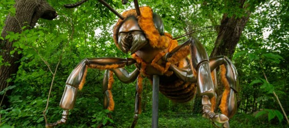 Zoo_gigantisch_referenzweb_32