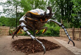 Zoo_gigantisch_referenzweb_27