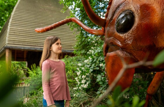 Zoo_gigantisch_referenzweb_19