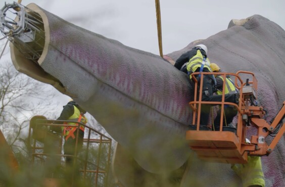 Galerieauswahl_Zoo_Dino_Aufbaudoku_7