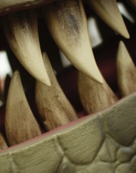 Thumbnail_Zoo_Dino_Aufbaudoku_13