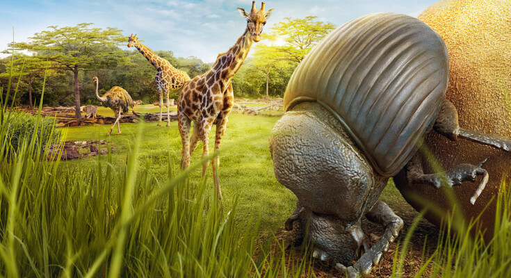 csm_Zoo_Leipzig_Banner_Desktop_1920x823px_Winzige_Giganten_2025_f53ddad86e Kopie