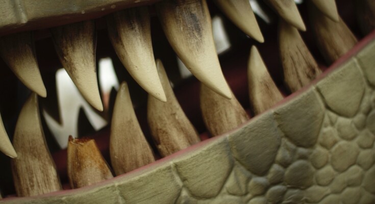 Thumbnail_Zoo_Dino_Aufbaudoku_13