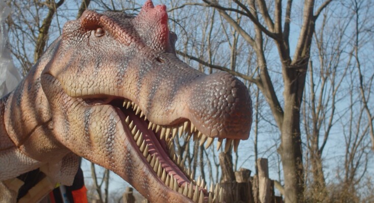 Herobild_Zoo_Dino_Aufbaudoku_2