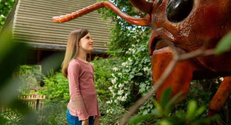 Zoo_gigantisch_referenzweb_21