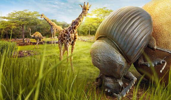 csm_Zoo_Leipzig_Banner_Desktop_1920x823px_Winzige_Giganten_2025_f53ddad86e Kopie