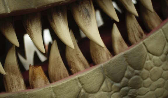 Thumbnail_Zoo_Dino_Aufbaudoku_13